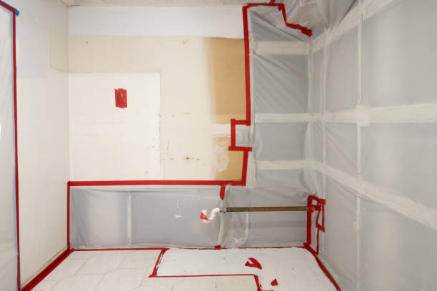 Professional Mold Removal in Abita Springs, LA